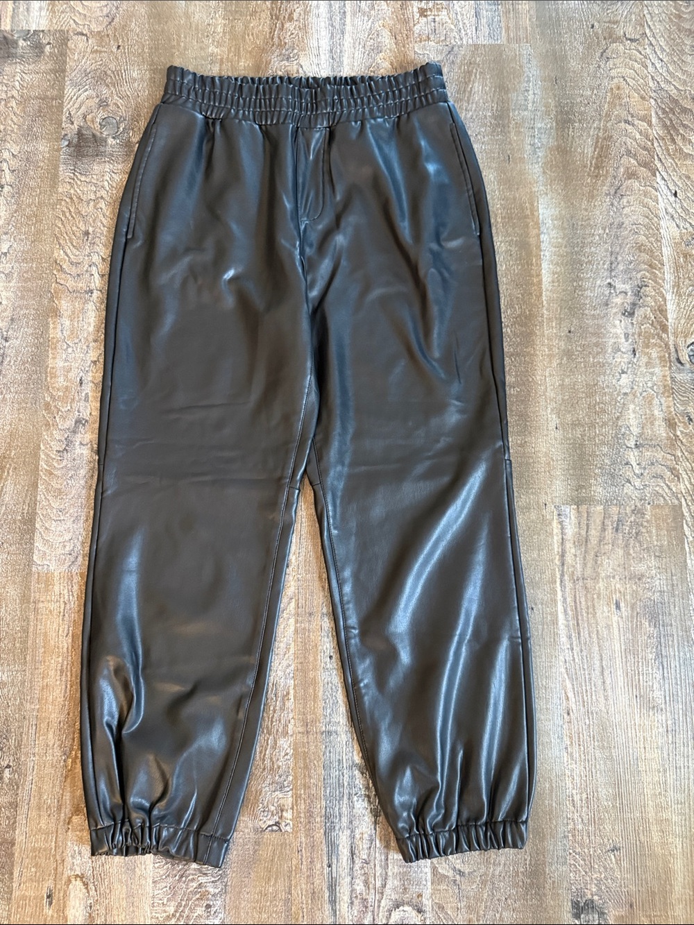 * NWOT* Sanctuary | Faux Leather Jogger Pants
